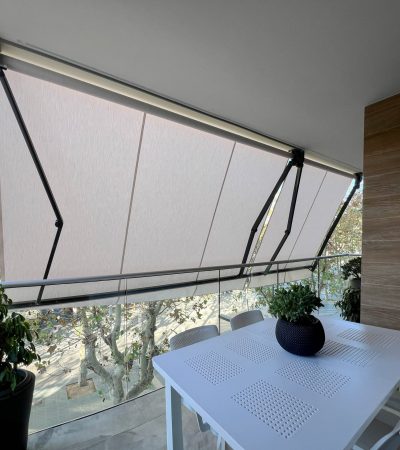Brazo extensible