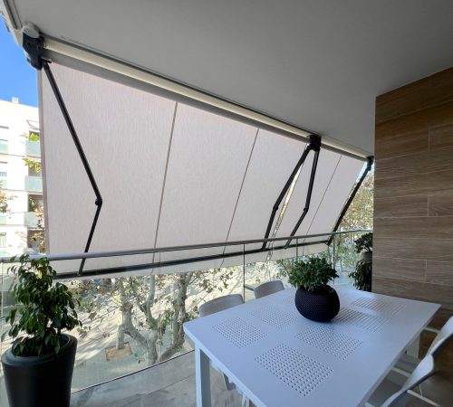Brazo extensible